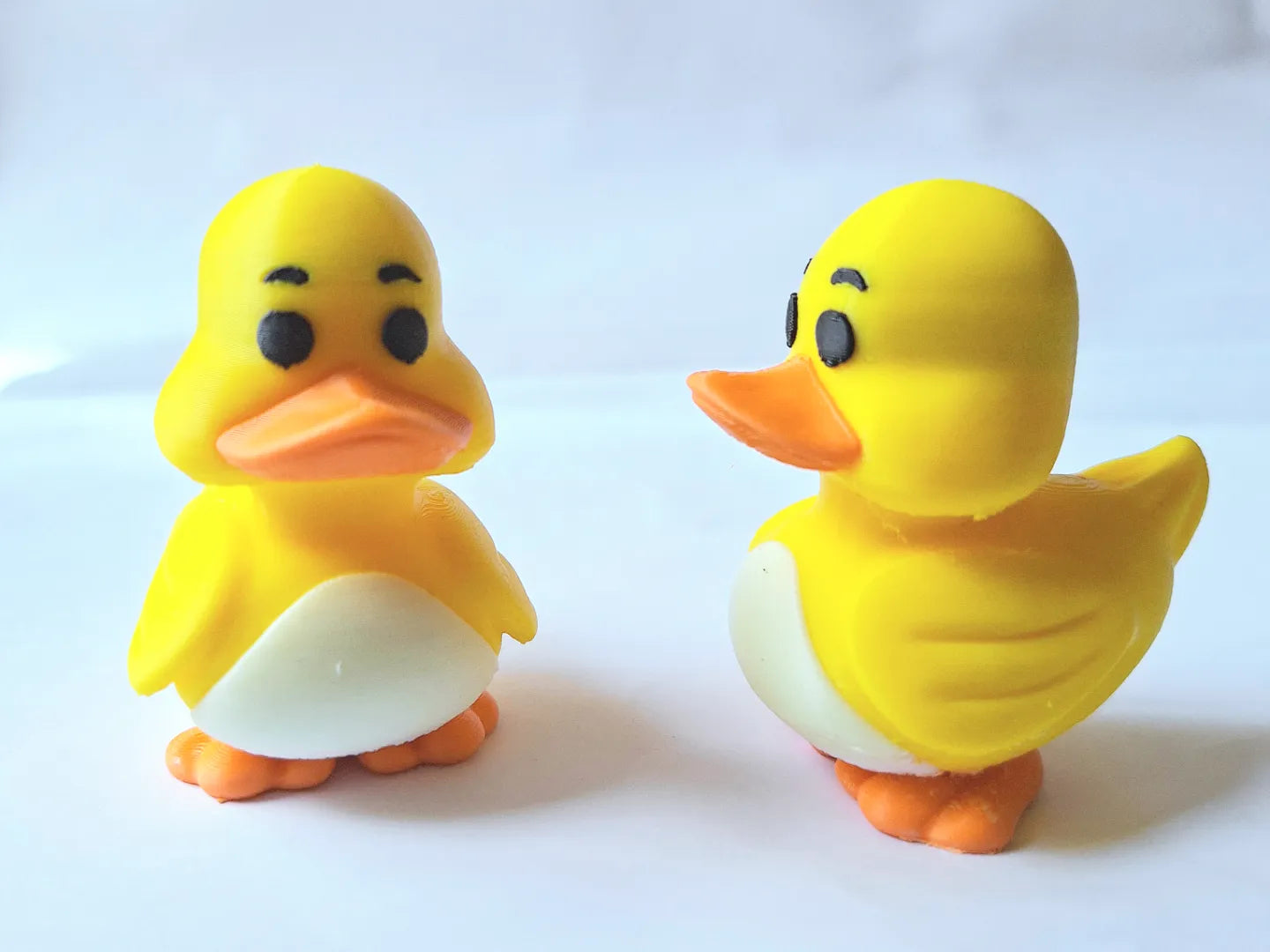 duck